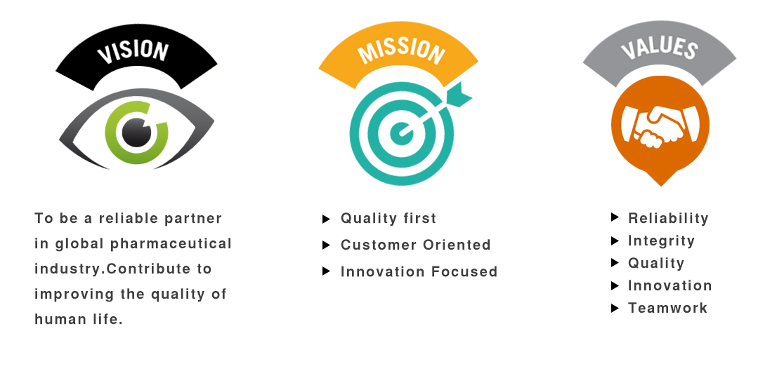 Mission Vision Values Macro Labs Pvt Ltd 